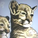 Click to see the full-size picture of the Cougar Country mural Shelton painted for Barret Elementary in Shreveport, Louisiana. Shelton Meacham, artist.